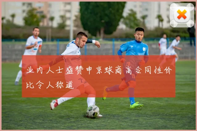 业内人士盛赞申京球商高合同性价比令人称道