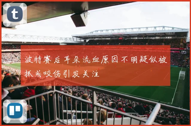 波特赛后耳朵流血原因不明疑似被抓或咬伤引发关注